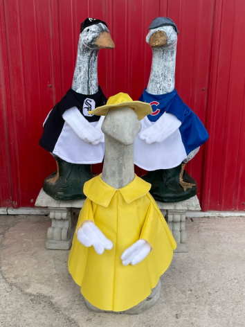 Picture of 3 white geese - one has White Sox cape, one has Cubs shirt, one with yellow spring rain coat & hat