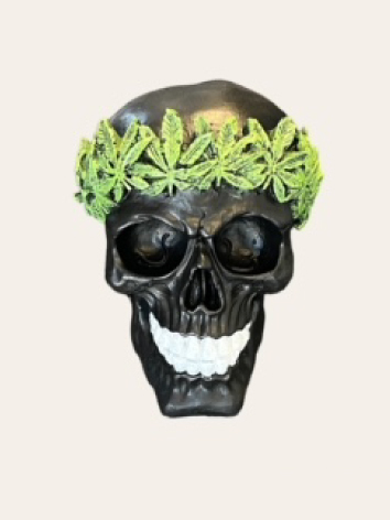 Skull face with green marijuana head band